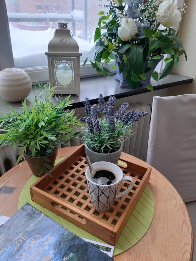 Pitea Vandrarhem Dış mekan fotoğraf